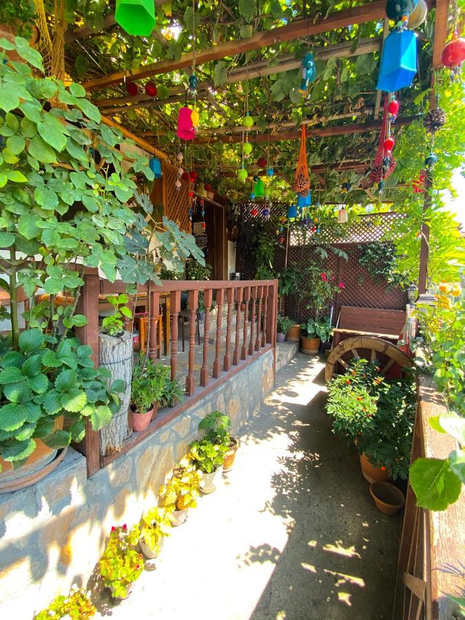 Avcioglu Konak Otel Safranbolu Bagian luar foto